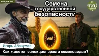 Семена государственной безопасности. Сельский час #274 (Игорь Абакумов)