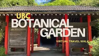 4K BOTANICAL GARDEN VIRTUAL WALKING | UBC GARDEN VANCOUVER B.C.