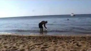 Skoljke