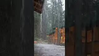 Country Cottage Rain Sounds 🌧️ Sleep Fast & Relax Your Mind #rain #rainsounds #relax