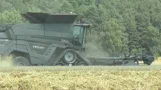 Fendt Ideal 9T wheat harvest in Germany