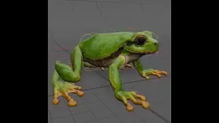 🐸 Frog Rig  | Character Rigging in Maya
