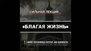 «БЛАГАЯ ЖИЗНЬ» 🎙️| Шейх Мухаммад Мухтар аш-Шанкыти