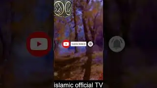 hazrat aboharara arshad farmata hai ka ak dafa#allahuakbar #pakistan #5231. #islamicofficialtv