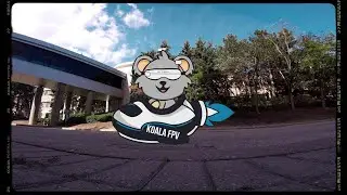 KOALA FPV - THANKSGIVING 2022 - 🦃 🚁 🥽 🎮