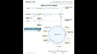 Organic Acid Lab Test Overview