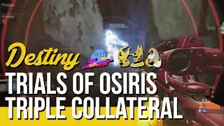 1 Bullet, 1 Round - Trials of Osiris Triple Collateral (Stream Highlight)