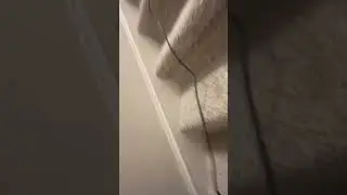 Bissell Lift Off Revolution Stair Cleaning!