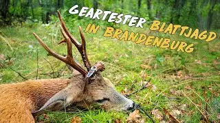 Blattjagd im Geartester-Revier