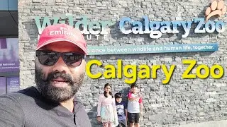 Давайте посетим Калгарийский зоопарк 🇨🇦