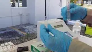 Petroleum Hydrocarbon Field Screening