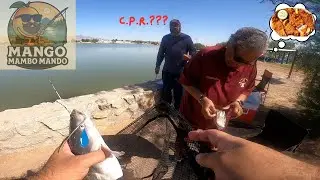Giving Away a Catfish Full of Leeches!!!