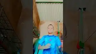 novo funk dos rosa