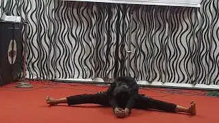 Namami shamishan / नमामि शमीशान