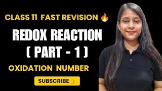 Redox Reactions Explained: A Quick Revision for Class 11