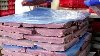 CFish - Fresh & Frozen Fish Bi-Products - Donegal