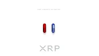 The #xrp Matrix Chamber || #Thanksgiving #crypto Story