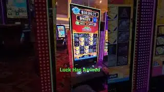 Raking Bacon BONUS 😊#casino #slots # #hardrock #fyp #lowbets #happynewyear
