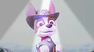 Tracker tribute for Royal Guard