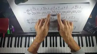CZERNY OP599 NO 28