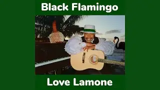 Black Flamingo