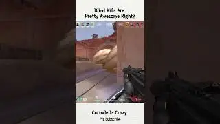 Smoking blind damn kill | #valorant #gaming #moments #shorts