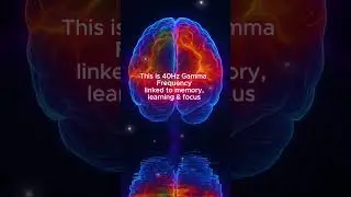 Instant Focus Boost &ndash; 40Hz Gamma Waves in 15 Seconds