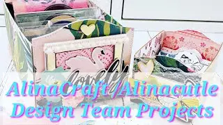 AlinaCraft Design Team Projects
