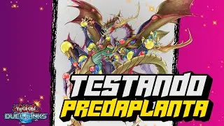 🔴LIVE - TESTANDO OS SUPORTES PARA PREDAPLANTA -  Yu-Gi-Oh! Duel Links! 🔥#yugioh #duellinks
