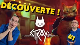 Stray PS5 – Épisode 1 : Une découverte incroyable, j’ai adoré !