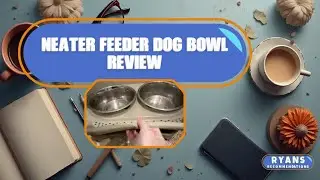 Neater Feeder Dog Bowl Review #ad #amazoninfluencer