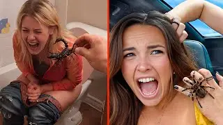 Best Scare Cam Pranks Reaction 2026 #187 🤯😅 Funny Scare Cam 🤣  Funny Prank Compilation
