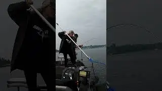 Surprise! Bonus fish on the jig!! #fishing #jigging #salmon
