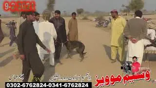 Salana Sheran wala track race Jaman shah Distract Layyah 9-2-2021 Part 4