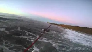 Surfcasting Striper Needlefish 9 12 15