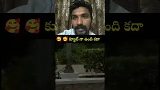Leopard Spotted at Tirumala | Seshachalam forest