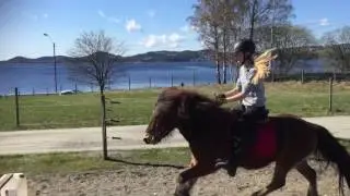 Sprangtime for Elise Raust&oslash;l (14.4.17)