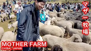 Mother Farm, Chiba Japan マザー牧場 ⛩️ Japan Trip, Travel Vlog, Episode 4