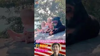 SPECIAL BOND between BABY & DOG |#171| #shorts #funny ##baby #dog #love #pets #puppy