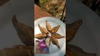 #food #cooking