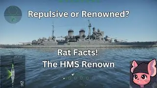 Rat Facts! The HMS Renown!