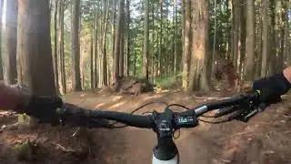Tiger Mountain,  Wa - Side Hustle