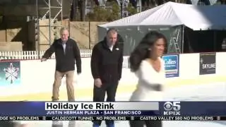 Holiday Ice Rink