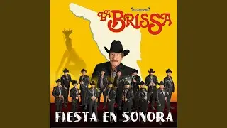 Fiesta en Sonora