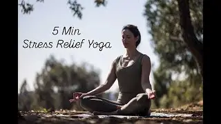 5-Min Gentle Yoga for Stress & Anxiety Relief
