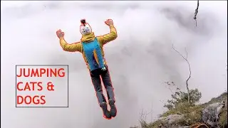 BASE JUMP in Lauterbrunnen with a french canadian