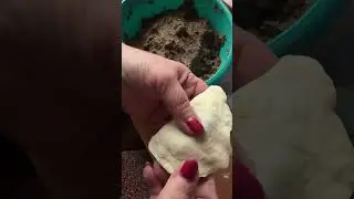 Traditional Polish Christmas Eve  pierogi.