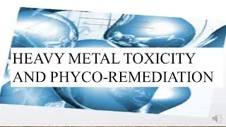 HEAVY METAL TOXICITY & PHYCOREMEDIATION