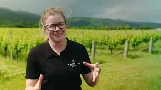 Next Generation Viticulture