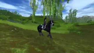 ~Rocktop ~ Star Stable